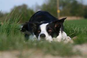 img_9954kl
